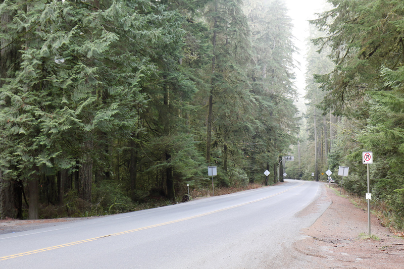 Illustration for article titled Trip Recap: 2017-12-09 on the Pacific Rim Highway to the Wild Pacific Trail